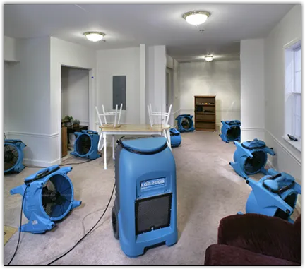 Drying & Dehumidification in Hillsboro, OR