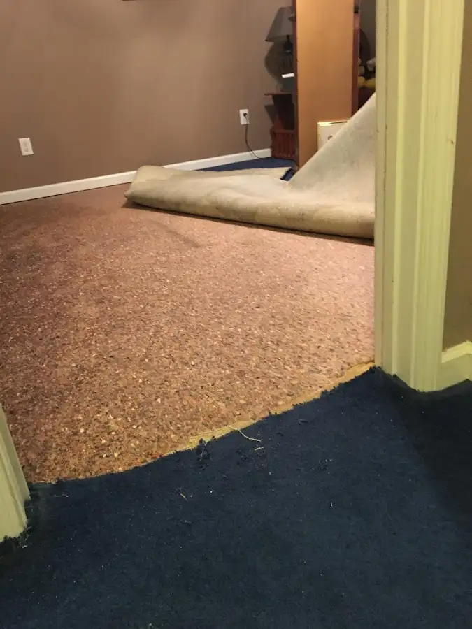 Carpet pad removal revealing water damage during Drying & Dehumidification in Hillsboro