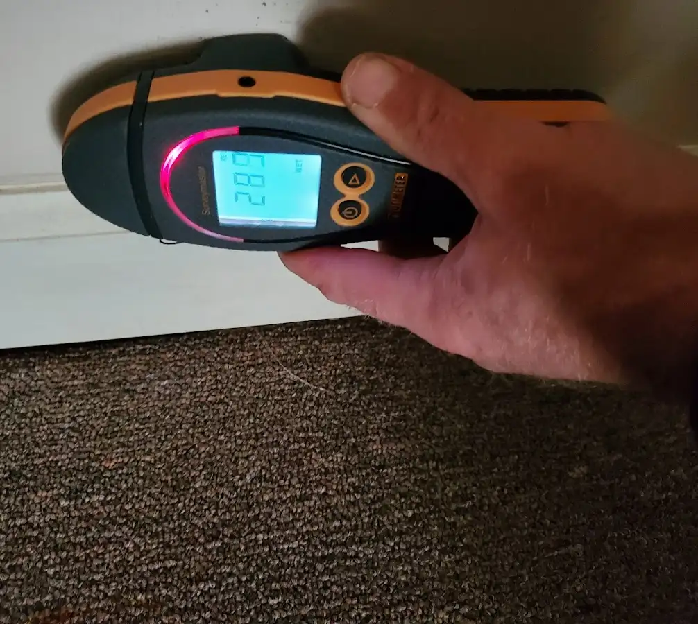 Moisture detection at baseboard during Burst Pipe Cleanup in Hillsboro